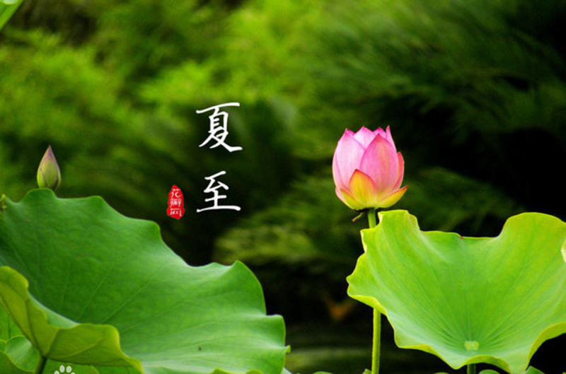 cefc1e178a82b901506b172f7b8da9773812efec