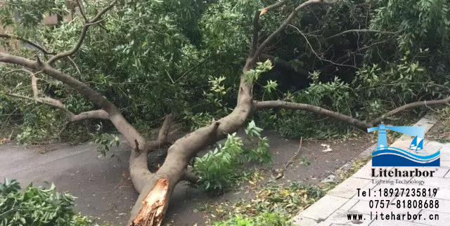 微信圖片_20170823234141