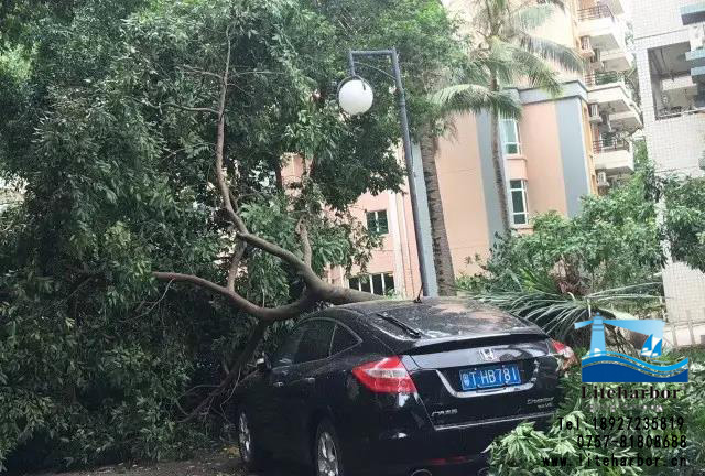 微信圖片_20170823234146